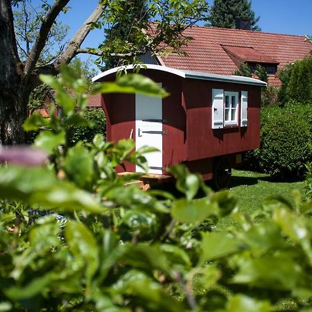 Haus Am Salinenweg Appartement Grassau  Buitenkant foto